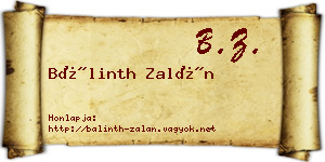 Bálinth Zalán névjegykártya
